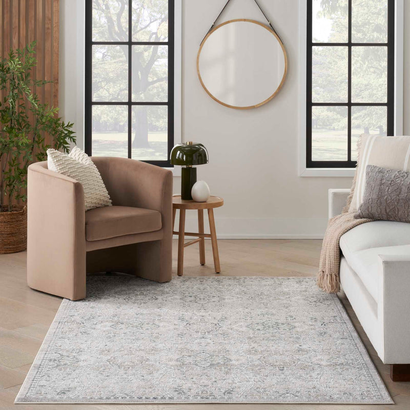 Distinctive Area Rug - Cream Gray