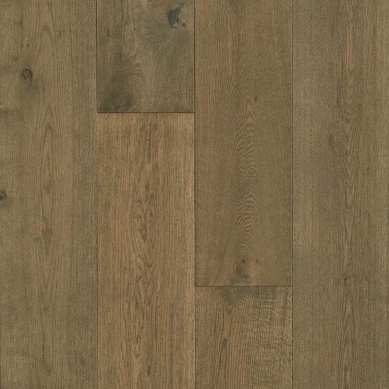 Brushed Impressions Platinum Elevated Basic