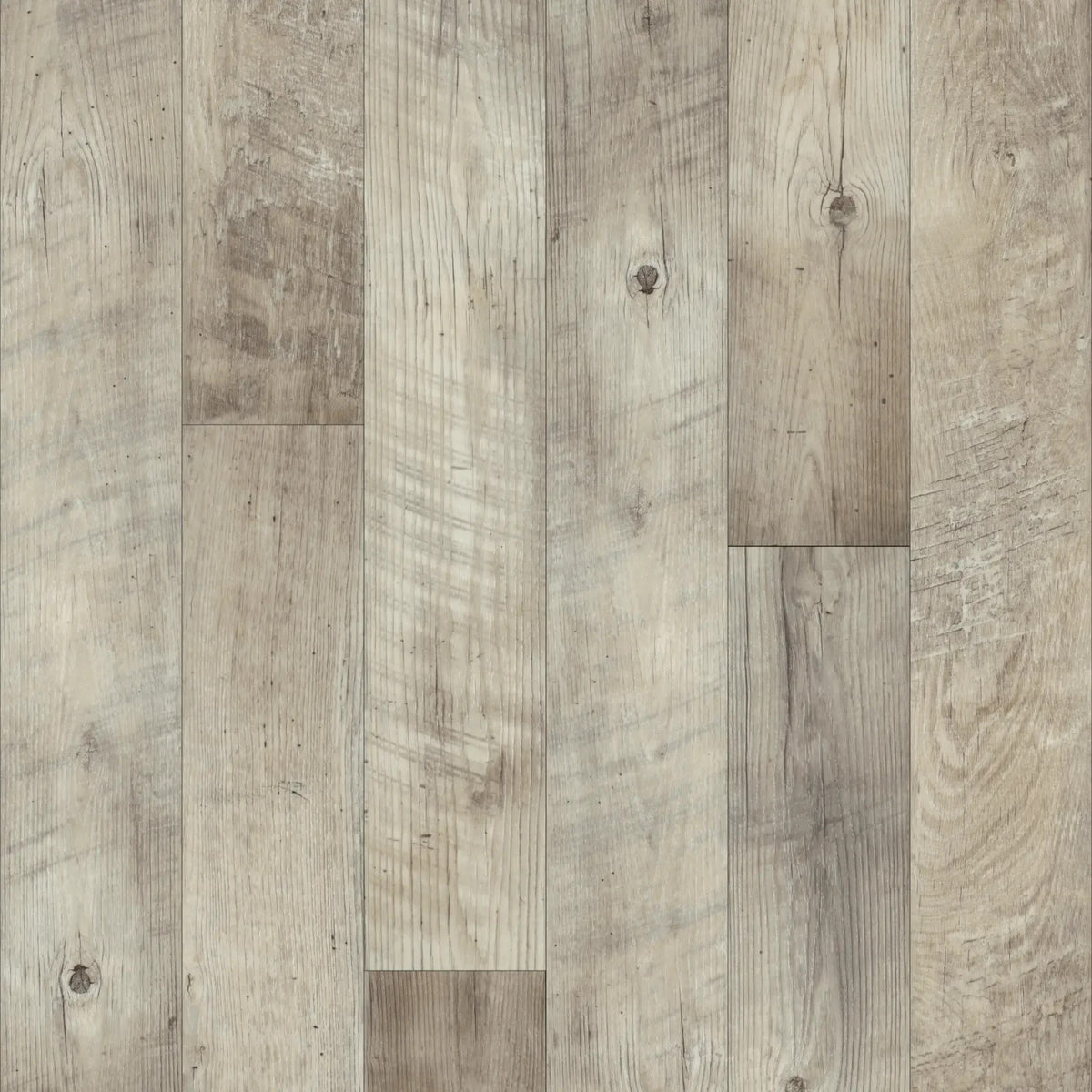 Dockside 6X48 Seashell MAX030 559386